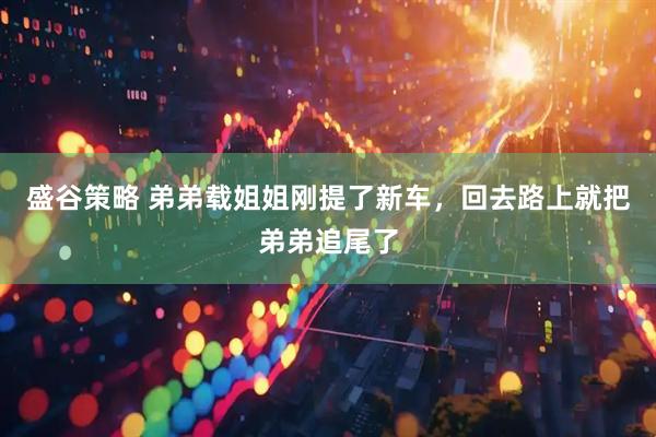 盛谷策略 弟弟载姐姐刚提了新车，回去路上就把弟弟追尾了