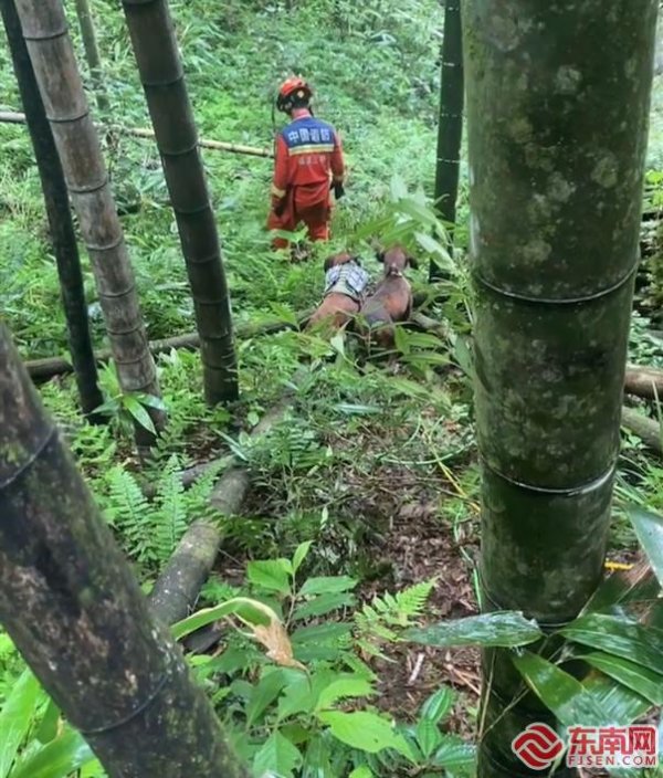 富灯网配资 三明宁化：老人深山走失10天后成功获救