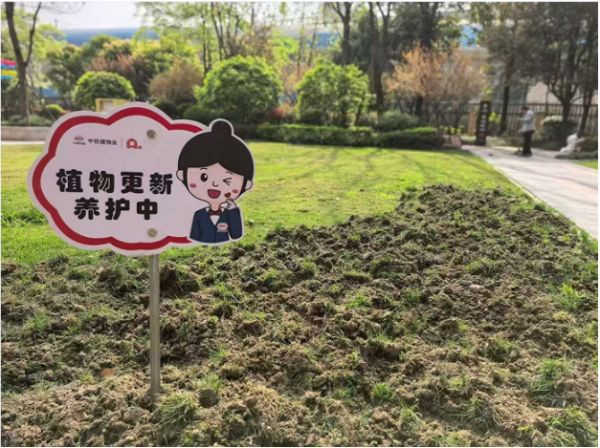 道正网 绿化养护背后的“匠心”
