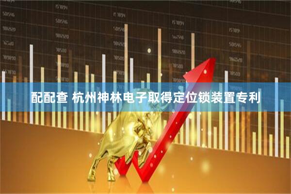 配配查 杭州神林电子取得定位锁装置专利