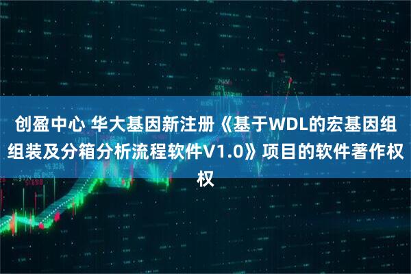 创盈中心 华大基因新注册《基于WDL的宏基因组组装及分箱分析流程软件V1.0》项目的软件著作权