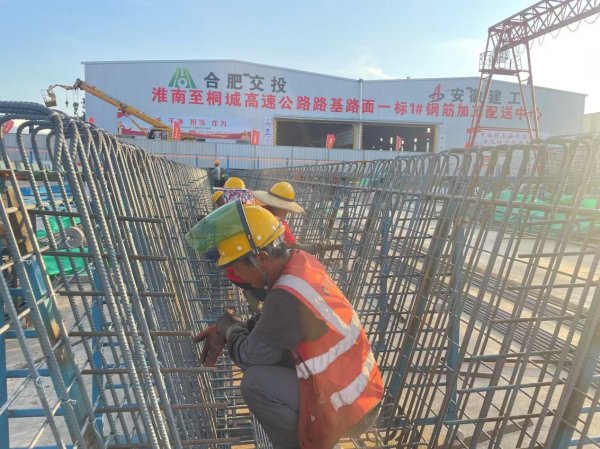 牛来乐 战高温不服“暑” 夺高产有“凉”策_大皖新闻 | 安徽网