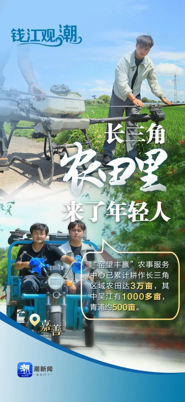 利配网 钱江观潮丨长三角农田里来了年轻人